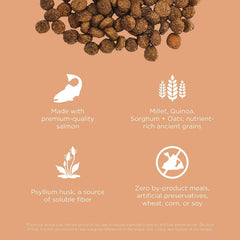 Go! Solutions Digestion + Gut Health, Dry Cat Food, Salmon Recipe with Ancient Grains