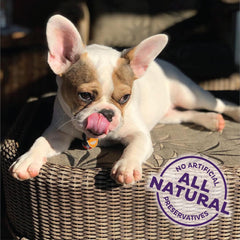 Old Mother Hubbard Wellness Training Bitz Assorted Mix Dog Biscuits, Natural, Training Treats, Three Flavors, Small Size, (8 Ounce Bag)