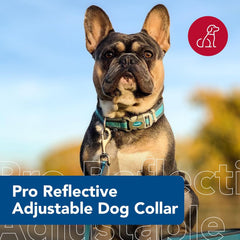 Coastal Pet - Pro - Reflective Adjustable Dog Collar, Bright Blue with Grey