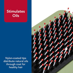 Safari Comfort Grip Curry Brush for Dogs - Dog Bath and Shampoo Brush and Massager for Indoor & Outdoor Dogs with Short Hair - One Size