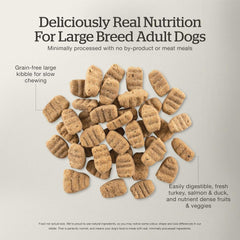 Now Fresh Grain-Free Large Breed Dry Dog Food with Turkey, Salmon & Duck Chicken-Free, Glucosamine & Chondroitin for Healthy Joints 25 lb