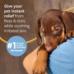 Veterinary Formula Flea and Tick Shampoo for Dogs and Cats