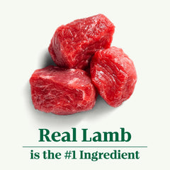 Nutro Natural Choice Adult Healthy Weight Dry Dog Food, Lamb and Brown Rice Recipe, 30 lbs.