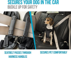 Sherpa Crash-Tested Multipurpose Seatbelt Dog Harness - Black, Small
