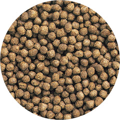 Hikari Oranda Gold Floating Pellets for Pets