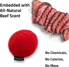 Playology Plush Squeaky Ball , All Natural Beef Scented Plush Dog Toy