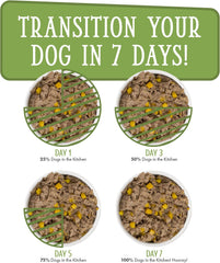 Weruva Dogs in The Kitchen, Lamburgini with Lamb & Pumpkin Au Jus Dog Food (Pack of 12)