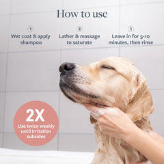 Veterinary Formula Clinical Care Hot Spot & Itch Relief Medicated Shampoo for Dogs and Cats – Helps Alleviate Sensitive Skin, Scratching, and Licking of Coat