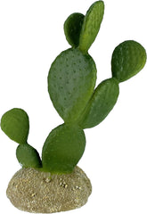 Multi Pet 48593322: Komodo Cactus Plant Prickly Pear, 6.3In