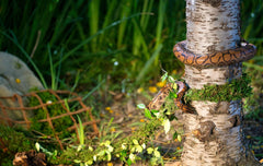 Galápagos Supermoss (05266) MossVine, Real Moss Vine, 12FT, Green