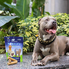 Ark Naturals Fortify Brushless Toothpaste, Dog Dental Chews for Large Breeds, Calcium Plus Omegas Support Strong Teeth and Immune Health