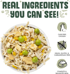 Weruva Classic Dog Food, Green Eggs & Chicken with Chicken Breast & Pumpkin in Gravy (Pack of 12)