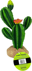Multi Pet 48593323: Komodo Cactus Plant Flower, 9In