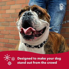 Coastal Pet Styles Adjustable Dog Collar - Stylish Patterned Fabrics - Snap-Lock Buckle - Adjustable Dog Collar - for Small, Medium or Large Dogs - Pink Dots