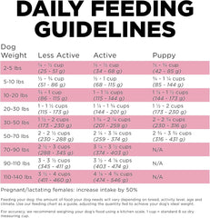 Go! Solutions Skin + Coat Care, Dry Dog Food, Lamb Recipe with Grains