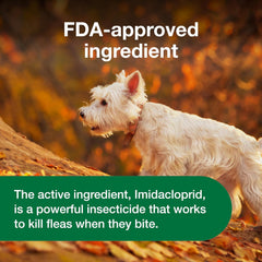 Advantus Dog Advantus Chewable Flea Treatment for Dogs | 7 ct.