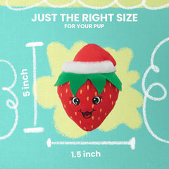 Snugarooz Berry Christmas Dog Toy with Repair Patch – Plush Made from Recycled Bottles – Holiday Design for Small & Medium Dog Breeds