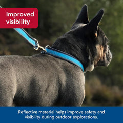 Coastal Pet - Pro - Reflective Adjustable Dog Collar, Bright Blue with Grey