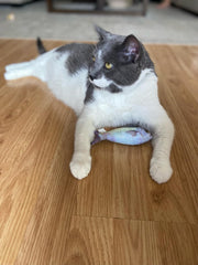 SPOT Fanatic Fish - Plush Cat Toy with Catnip and Crinkle Sound, Realistic Looking Fish Toy for Cats & Kittens to Cuddle, Chase, Hug, Kick, and Swat -6.5in, 1 Piece