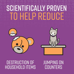 Sentry Pet Care Stop That! Behavior Correction Spray For Cats, Easy Spray Application, Noise And Pheromones Help Eliminate Unwanted Behaviors Including Scratching And Aggression