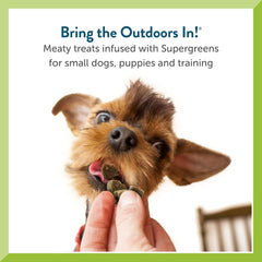 Pet Greens Treats Tasty Lamb Semi-Moist Dog Treat