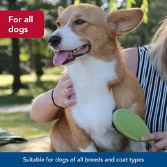 Safari Bristle Dog Brush - Gentle Grooming Brush for All Coat Types - Removes Dog Hair & Offers Natural Oil Distribution