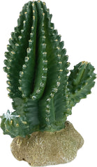 Multi Pet 48593320: Komodo Cactus Plant Columnar, 5.9In