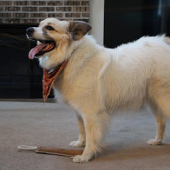 SPOT Dura-Fused Leather Retriever Dog Toy – Real Leather & Jute Fabric, Double-Stitched & Durable, Squeaky Interactive Tug Toy with Rope Handle for Moderate Chewers, Soft Stuffed Fetch Toy, 15in