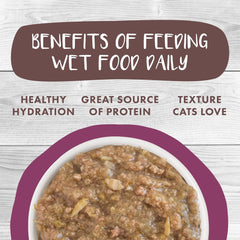 Weruva Classic Cat Stews, Stick A Spork in It with Duck & Salmon in Gravy (Pack of 12)