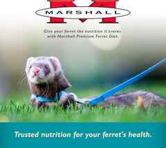 Marshall Pet Products Select Chicken Formula Premium Ferret Diet, 4 lbs – Protein-Rich Food for Balanced Nutrition, Digestive Support