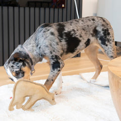 SPOT Dura-Fused Leather Bear Dog Toy – Real Leather & Jute Fabric, Double-Stitched & Durable, Squeaky Interactive Chew Toy for Moderate Chewers, Medium & Large Dogs, Soft Stuffed Fetch Toy, 11.5in