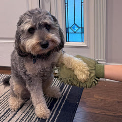 SPOT Clean Paws Chenille Microfiber Dog Towel Mitt - Super Absorbent, Quick-Drying, Washable, Double-Sided Glove for Wet Paws & Body, Durable, Odor-Free, Gently Massages & Dries, 9.5in x 7in