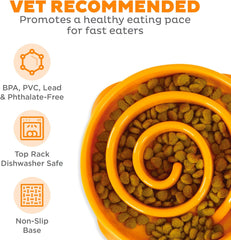 Outward Hound Fun Feeder Slow Bowl in Orange Plastic for Dogs