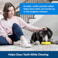 PetSafe Frosty Cone Dog Toys – Fill and Freeze Treat Holding Chew Toy – BPA Free Rubber – French Vanilla Scented – Interactive Pet Puzzle for Boredom or Separation Anxiety