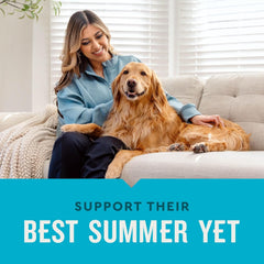 VetIQ 8-in-One Multifunctional Supplement for Dogs, Supports Hip & Joint, Urinary Tract, Immune System, Skin Health and Heart Health, Soft Chews, Made in the USA, 60 Count