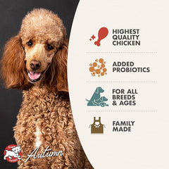 Fromm Four-Star Nutritionals Chicken au Frommage Dog Food - Premium Dry Dog Food - Chicken Recipe.