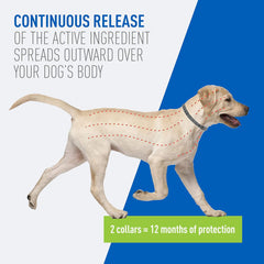 Flea & Tick Collar Plus for Dogs & Puppies |2 Pack |12-Month Protection |One Size Fits All Dogs & Puppies 12 Weeks and Older |Kills Fleas and Ticks |Repels Mosquitoes