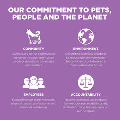 Go! Solutions Carnivore, Grain-Free, Protein Rich Dry Cat Food, Chicken, Turkey and Duck Recipe