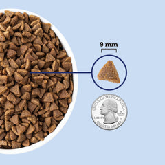 ACANA Indoor Entrée Fish Recipe Cat