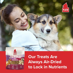 PLATO Pet Treats Jerky Dog Treats - Air-Dried Beef Jerky with Mushroom - Grain Free, High Protein