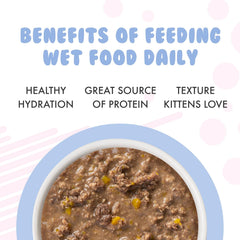 Weruva Kitten, Chicken & Pumpkin Formula in Gravy 3-oz Pouch(Pack of 12)