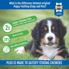 N-Bone Puppy Teething Rings Plus, Chicken Flavor