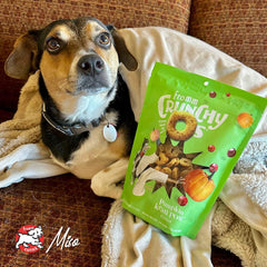 Fromm Crunchy Os Pumpkin Kran Pow Dog Treats - Premium Crunchy Dog Treats - Turkey Recipe.