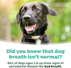 TropiClean Fresh Breath | Breath Freshener and Teeth Cleaning Solution | 16 oz