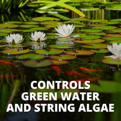 Tetra 77188 Algae Control