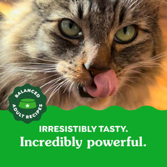 FELINE GREENIES Natural Dental Care Cat Treats 275-11 oz