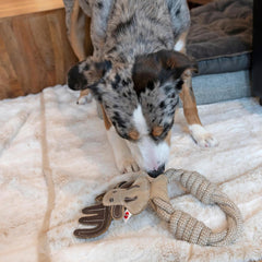 SPOT Dura-Fused Leather Animal Rings - Rope Dog Toy, Made with Real Leather and Jute Fabric, Durable Rope Ring is Great for Tugging and Chewing - 11in, Assorted Styles, 1 Piece