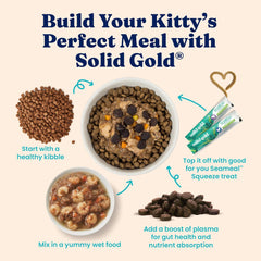 Solid Gold High Protein Dry Cat Food - Grain Free & Gluten Free Chicken Cat Dry Food w/Probiotics for Gut Health & Digestion - High Fiber & Omega 3 - Low Carb Superfood Kibble for Cats All Ages