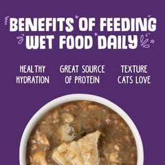 Weruva Classic Cat Food, Polynesian BBQ with Grilled Red Bigeye in Gravy (Pack of 24)