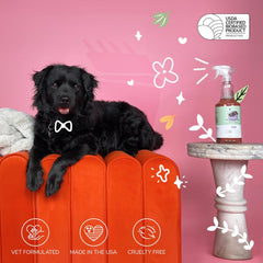 kin+kind Pet Odor Eliminator for Home - Litter Deodorizer, Pet Urine Odor Eliminator Spray and Stain Remover Spray for Harwood Floods, Carpet and Fabric - Pee, Odor and Stain Destroyer